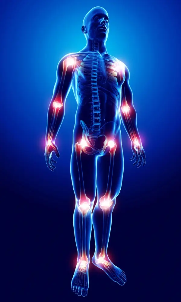 Top-rated fibromyalgia doctor in Brooksville FL.