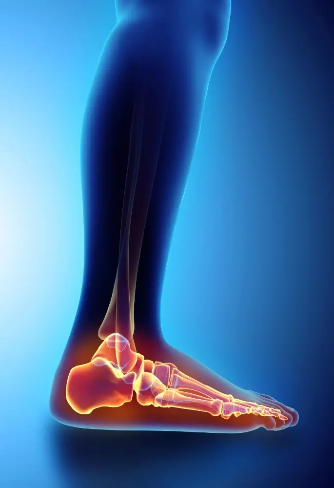 Top-rated plantar fasciitis doctor in Brooksville FL.